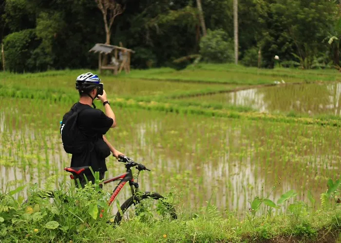 Botel Downhill Cycling Ubud With Volcano, Jungle, Rice Terrace With Meals Tampaksiring